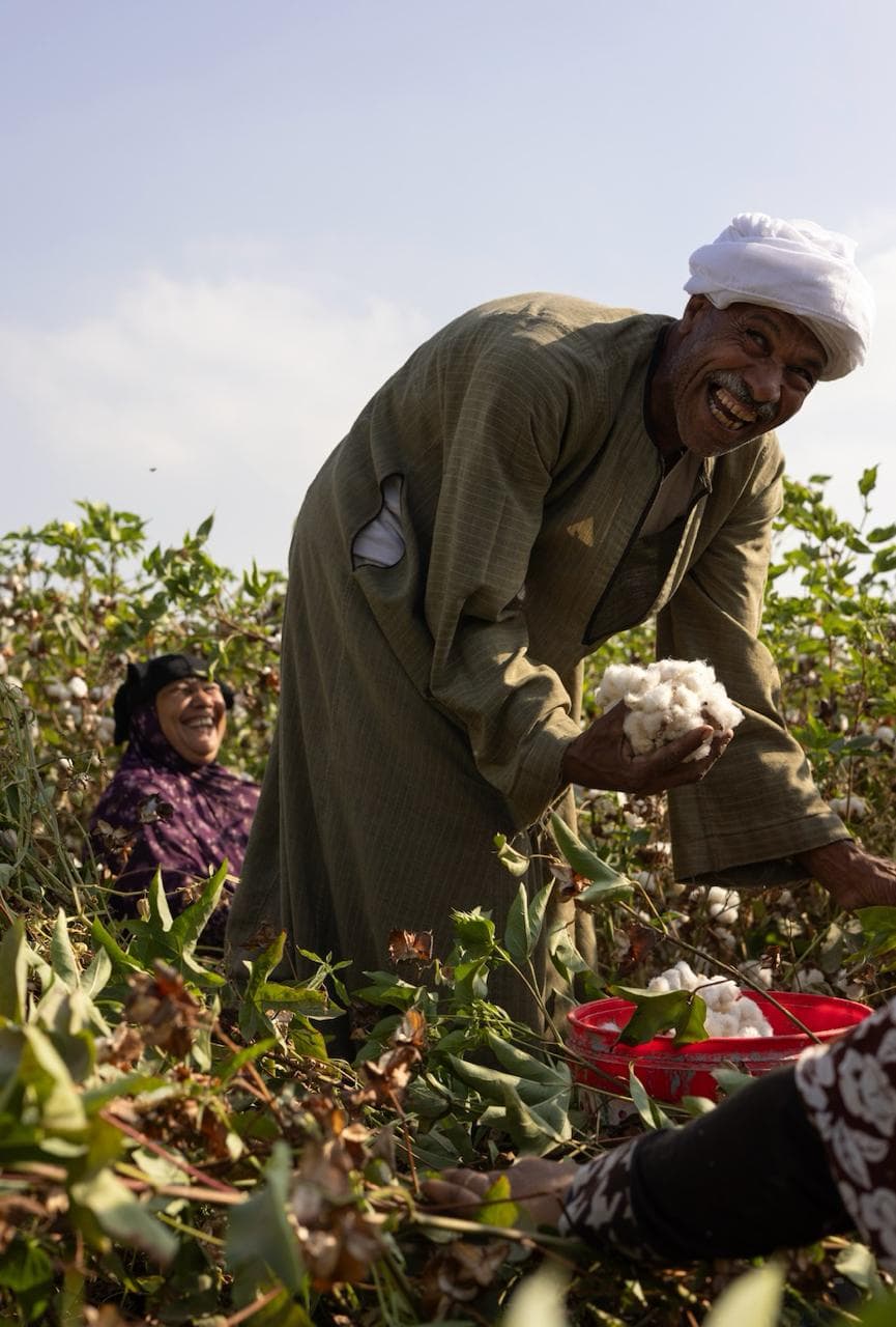 Lifecycle automation